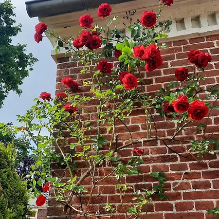 Haus Am Herrenwall Esens