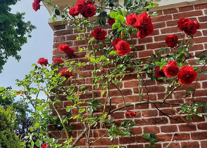 Haus Am Herrenwall Esens